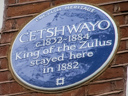 Cetshwayo (id=201)